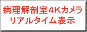 クリックすると、病理解剖室4Kカメラによるリアルタイム映像伝送システムのカタログを表示します